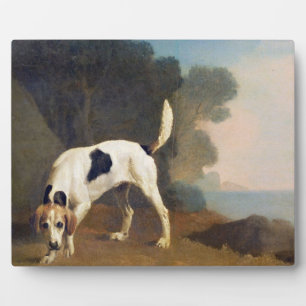 Placa Expositora George Stubbs Foxhound on the Scent, c.1760 (pet