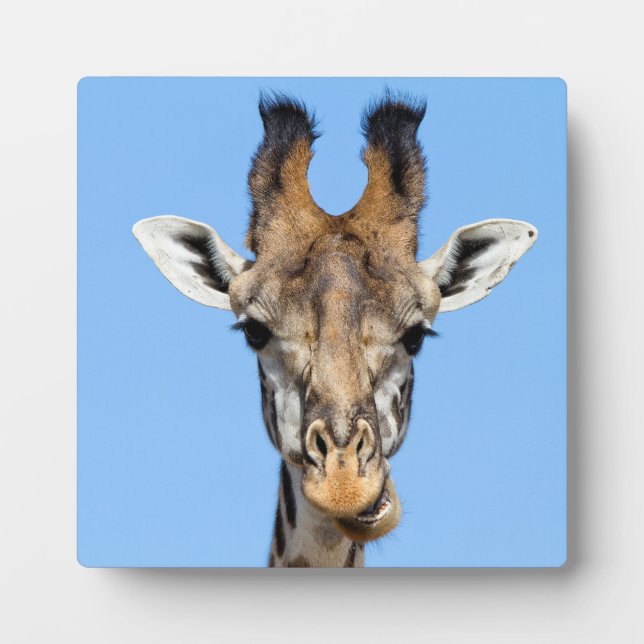Placa Expositora Giraffe (Frente)