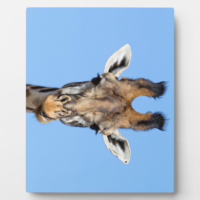 Placa Expositora Giraffe (Frente)
