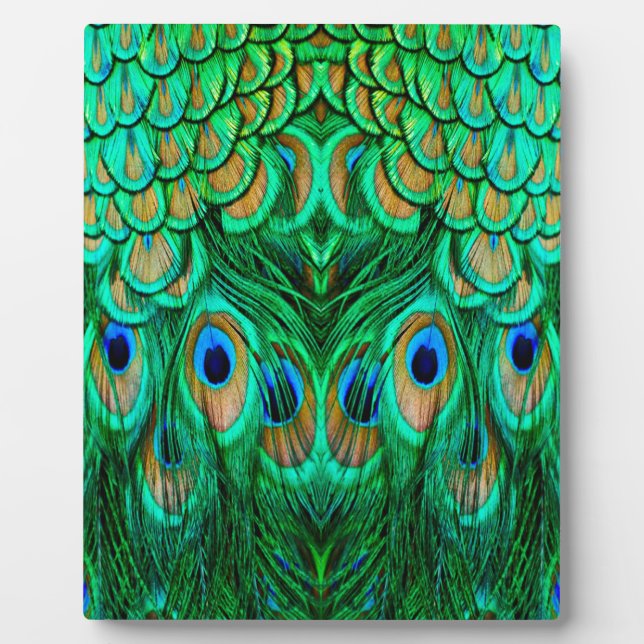 Placa Expositora Gloriosas plumas de pavo real (Frente)