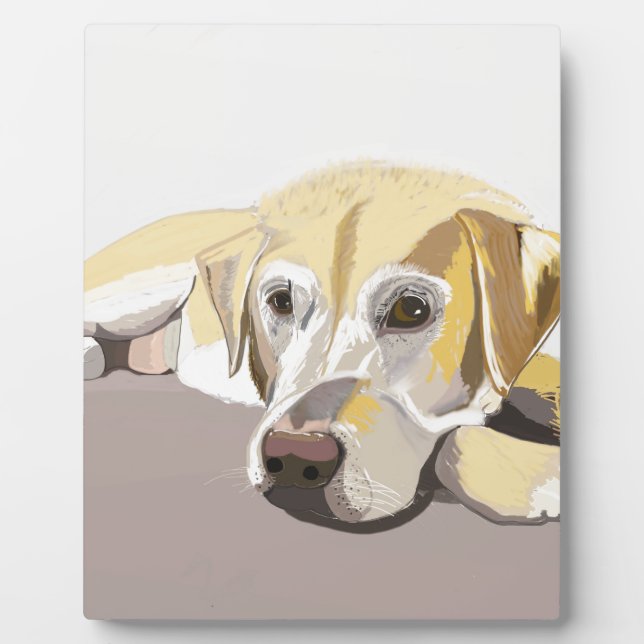 Placa Expositora Golden Labrador (Frente)