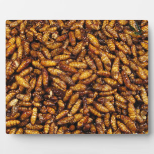 Placa Expositora Gomas de seda fritas... Comida callejera tailandes