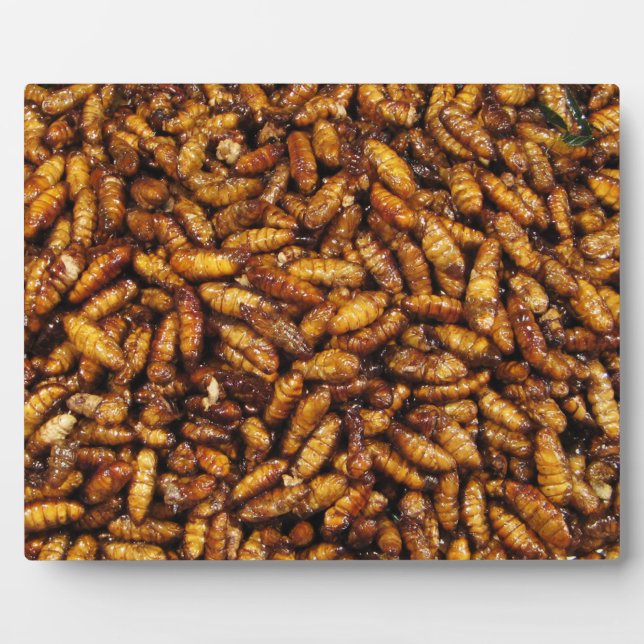 Placa Expositora Gomas de seda fritas... Comida callejera tailandes (Frente)