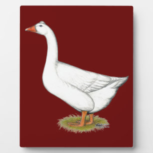 Placa Expositora Goose Roman Tufted
