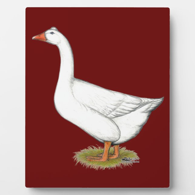 Placa Expositora Goose Roman Tufted (Frente)