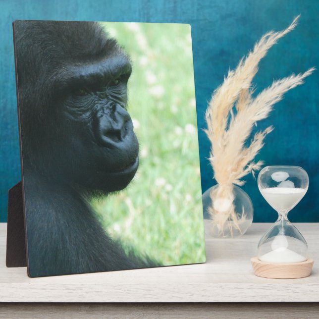 Placa Expositora Gorilla Gaze  Plaque (Lado)