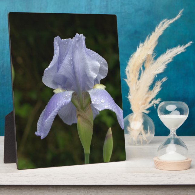 Placa Expositora Gotas de lluvia floral Iris azul bonito EASEL (Lado)