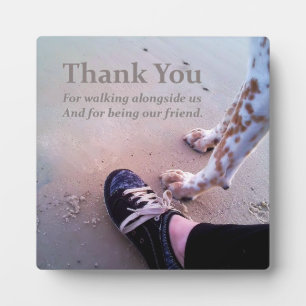 Placa Expositora Gracias