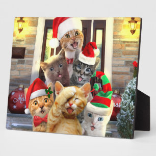 Placa Expositora Graciosos gatitos en el Día del Navidad