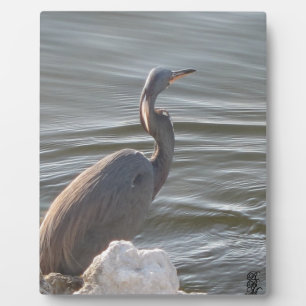 Placa Expositora Gran Garza Azul junto al Agua