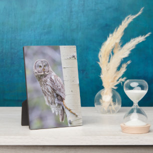 Placa Expositora Gran rama de árbol gris