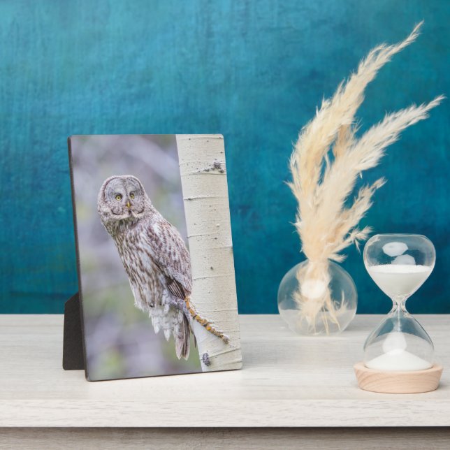 Placa Expositora Gran rama de árbol gris (Lado)