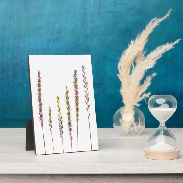 Placa Expositora Grasas coloreadas (Lado)