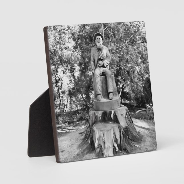 Placa Expositora Guardián de la Selva (Anverso)