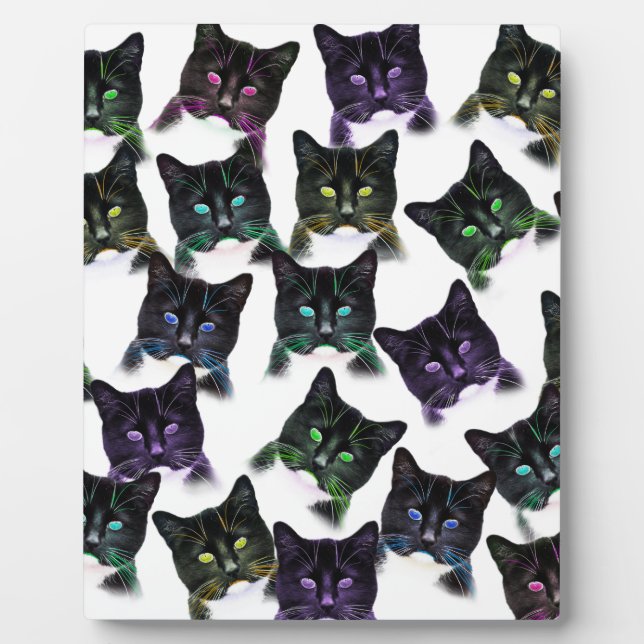 Placa Expositora Guay Cats (Frente)