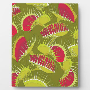 Placa Expositora halloween fly trap