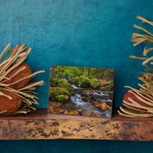 Placa Expositora Hambre de Creek Falls   Columbia Gorge, Oregón