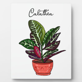 Placa Expositora Hand draw Calathea