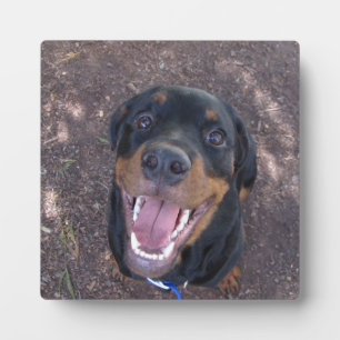 Placa Expositora Happy Heidi Rottweiler Photo Plaque