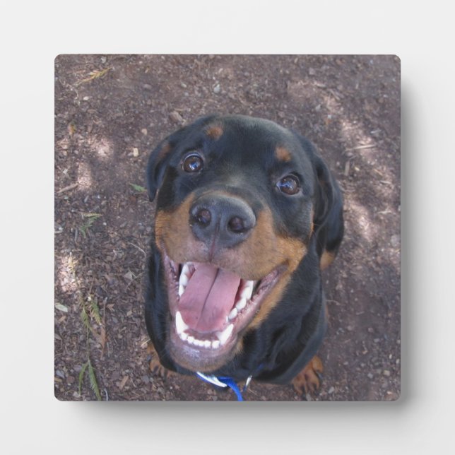 Placa Expositora Happy Heidi Rottweiler Photo Plaque (Frente)