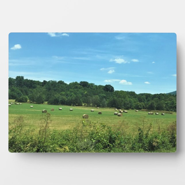 Placa Expositora Hay Bales, Wytheville, Virginia (Frente)