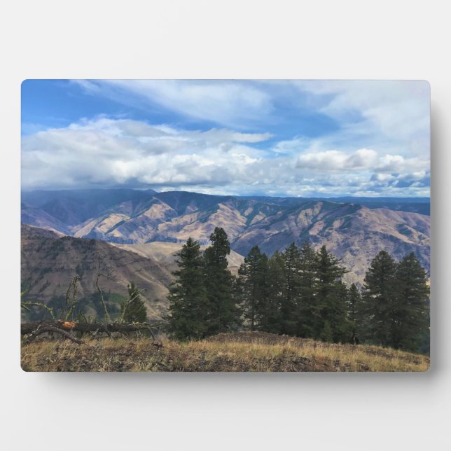 Placa Expositora Hells Canyon Scenway, OR (Frente)