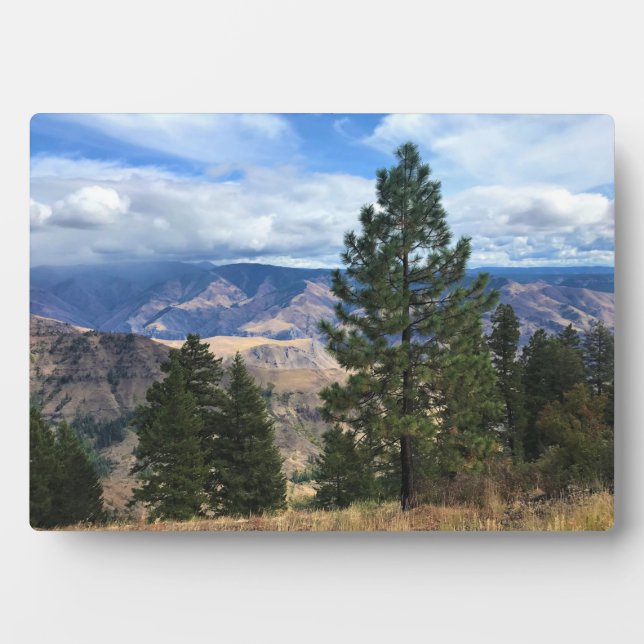 Placa Expositora Hells Canyon Scenway, OR (Frente)