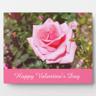 Placa Expositora hermosa flor de rosa rosa con corazones dulces