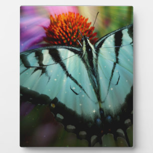 Placa Expositora Hermosa mariposa turquesa