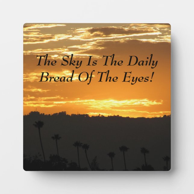 Placa Expositora ¡Hermosa Plaza! (Frente)