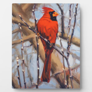 Placa Expositora Hermoso Cardenal Rojo en Árbol Desnudo
