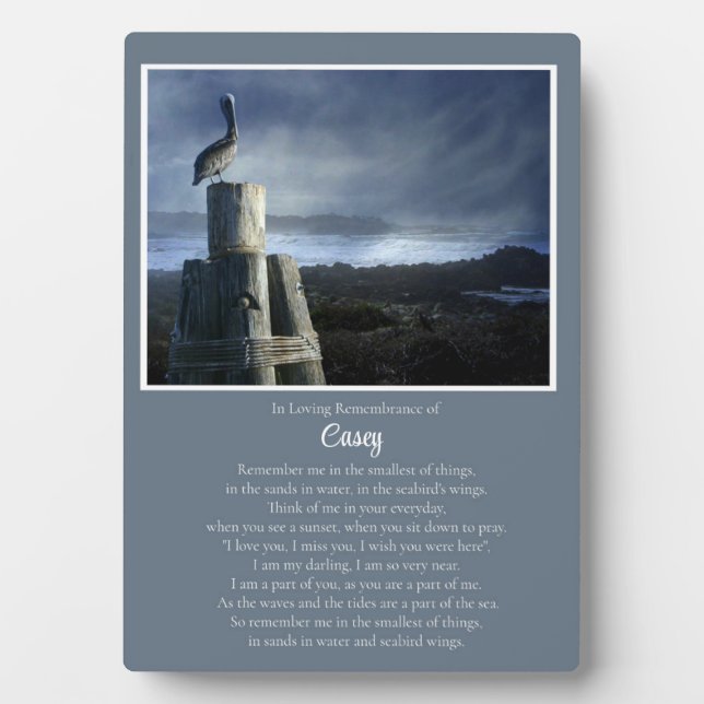 Placa Expositora Hermoso nombre personalizado del océano náutico (Frente)