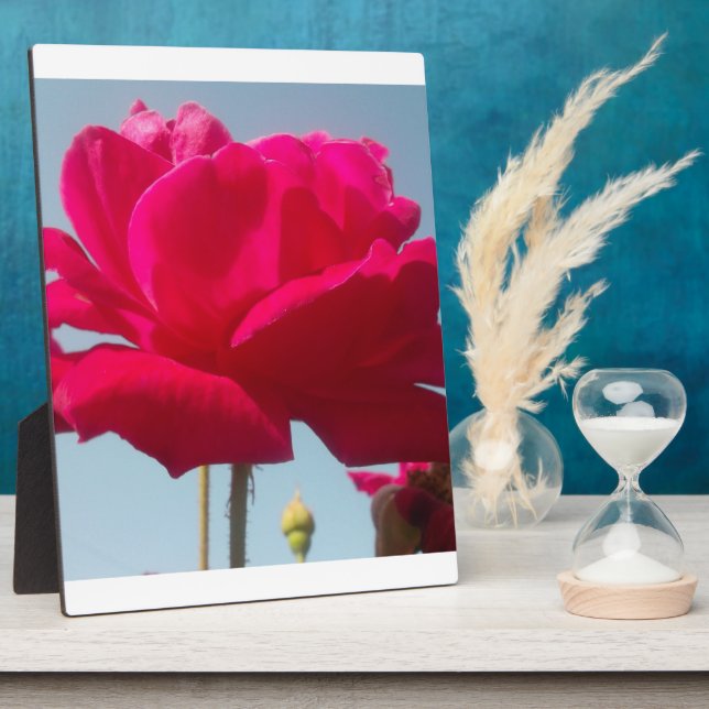 Placa Expositora Hermoso Rosa Celestial Rojo Contra Azul (Lado)