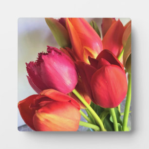 Placa Expositora Hermoso Tulip Bouquet