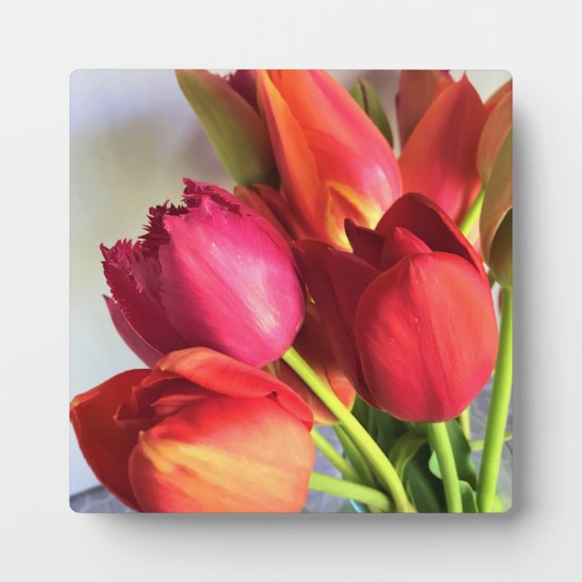 Placa Expositora Hermoso Tulip Bouquet (Frente)