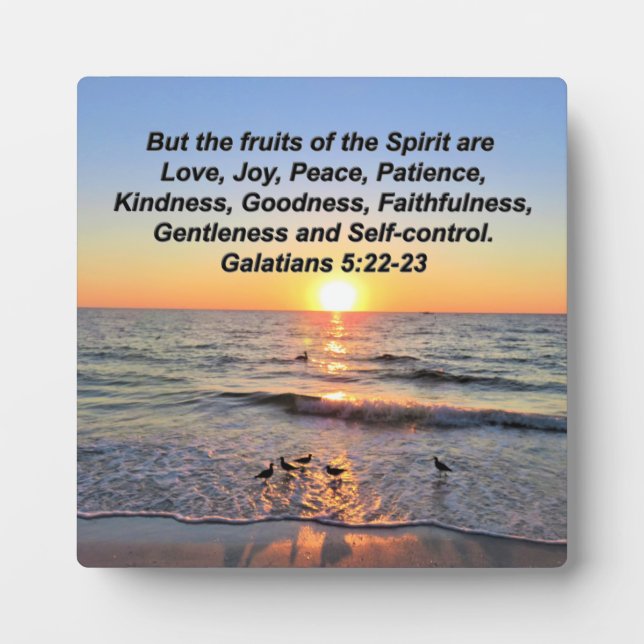 PLACA EXPOSITORA HERMOSOS GALATIANOS 5 SUNRISS (Frente)