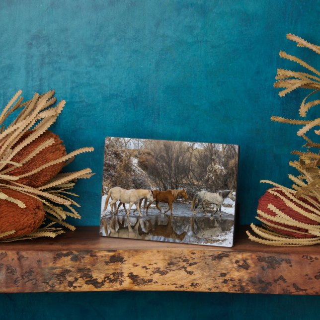 Placa Expositora Hideout Horse Ranch (Lado)