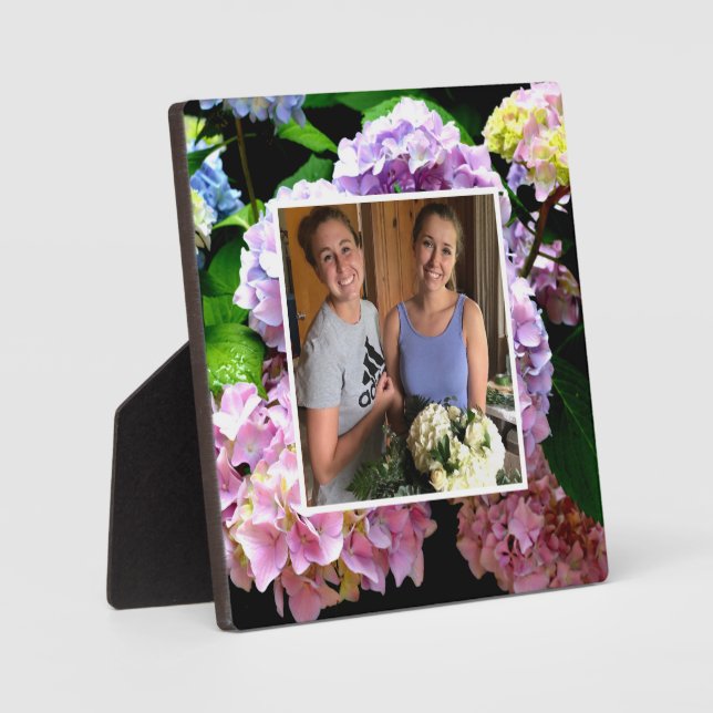 Placa Expositora hidrangea garden rosa púrpura azul floral (Anverso)