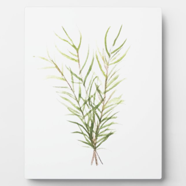 Placa Expositora Hierbas Rosemarias (Frente)