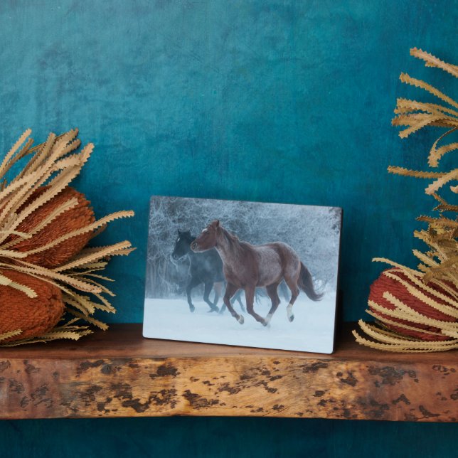 Placa Expositora Hípica (Lado)