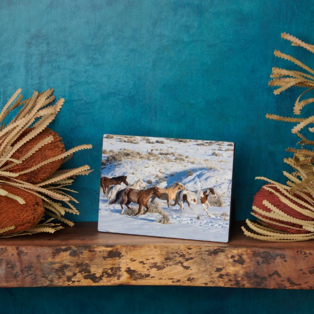 Placa Expositora Hípica en invierno en Hideout Ranch (Lado)