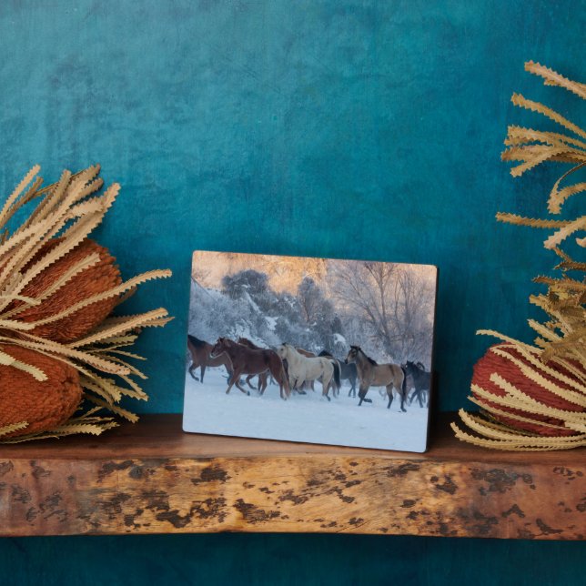 Placa Expositora Hípica en invierno en Hideout Ranch (Lado)