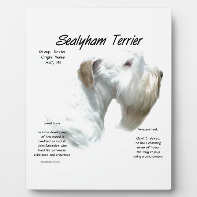 Placa Expositora Historia de Sealyham Terrier (Frente)