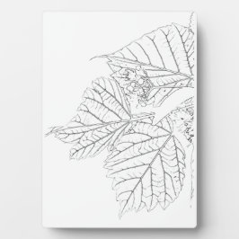 Placa Expositora Hojas de Basswood