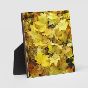 Placa Expositora Hojas otoñales amarillas