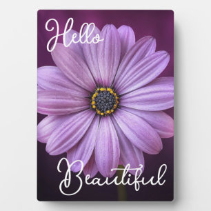 Placa Expositora Hola Hermosa Flor Púrpura