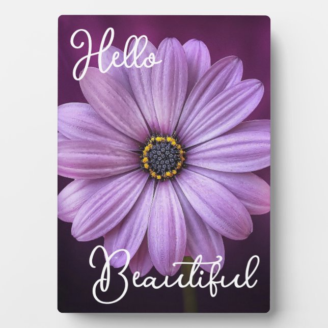 Placa Expositora Hola Hermosa Flor Púrpura (Frente)