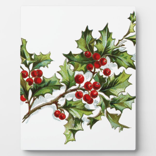 Placa Expositora Holly Berries 001 (Frente)