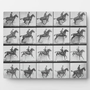 Placa Expositora Hombre y caballo saltando una cerca, plato 640 de