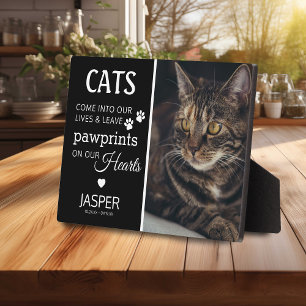 Placa Expositora Homenaje a los amantes de los gatos Recuerdo con